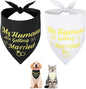 SZEE Wedding Decorations for Pets, 2 Pack My Humans are Getting Married Dog Bandanas, Engagement Party Decorations, Wedding or Engagement Gift for Couples, Dog Wedding Bandanas (Gold, S)