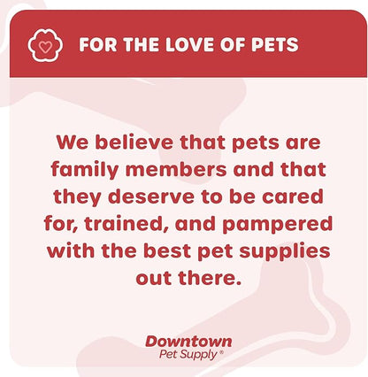 Downtown Pet Supply Step-in Dog Harness – No Pull, Adjustable Padded Mesh with Reflective Trim, Secure Buckle Strap – Comfortable & Breathable Small Dog Harness, X-Small, Charcoal
