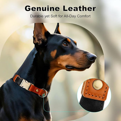 Plutus Pet Genuine Leather & Hemp Dog Collar – Adjustable Heavy Duty Pet Collar with Quick Release Metal Buckle, Soft & Stylish for Puppy and Small, Medium, Large Dogs (Black, M)