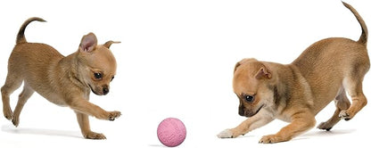 Snug Rubber Dog Balls for Small and Medium Dogs - Tennis Ball Size - Virtually Indestructible (3 Pack - Chic)