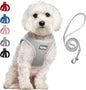 PetiFine Step in Small Dog Harness and Leash Set, Breathable All Weather Air Mesh Reflective Escape Proof, Step-in Velcro Vest Harnesses for Puppy(S, Grey)