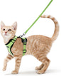 rabbitgoo Cat Harness and Leash for Walking, Escape Proof Soft Adjustable Vest Harnesses for Cats, Easy Control Breathable Reflective Strips Jacket, Light Green, XS