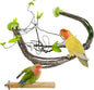 PINVNBY 2 PCS Bendable Bird Perches Simulation Branch Parrot Perch Stand with Green Leaf Hanging Paw Grinding Fork Cage Accessories for Parakeet Budgie Finch Cockatiel Conure (Large)