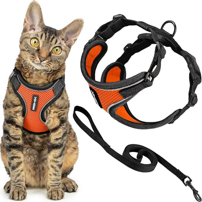 Voyager Escape-Proof Step-in Lock Cat Harness & 5ft Neoprene-Handle Leash Set All-Weather Mesh with Reflective Stitching for Small to Large Cats by Best Pet Supplies, Black Trim-Orange (327), XS
