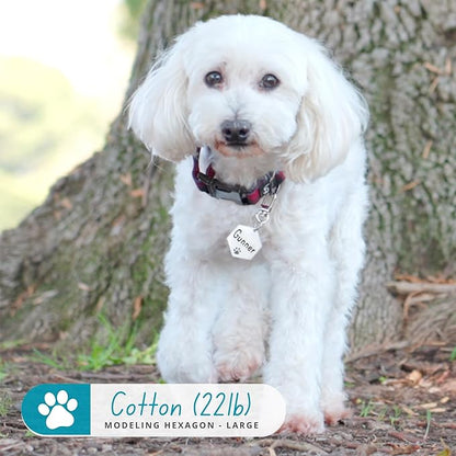 Ultra Joys Dog Tags Personalized for Pets - Hollow Paw Custom Pet ID Tag - Engraved Dog Tag for Small, Large Dogs - Large Hexagon in Rose