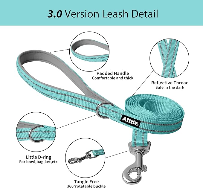 AIITLE No Pull Dog Harness and Leash Set, Step in Adjustable Dog Harness with Padded Vest for All Weather, Dog Leash with Soft Padded Handle, Easy to Put on Small and Medium Dogs Turquoise S