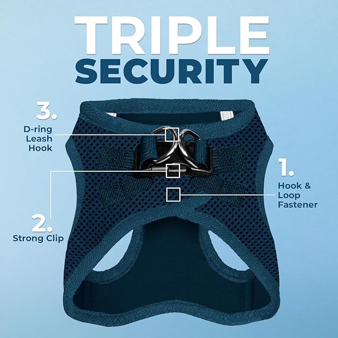 Best Pet Supplies Voyager Step-in Air Harness - All Weather Mesh, Reflective, No Pull Harness for Dogs, Cats - Secure with Hook & Loop Fastener, Buckle, Double D-Rings - Blue, XXXS