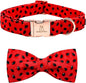 Lionheart glory Dog Collar, Watermelon Dog Collar with Bow, Summer Dog Bowtie Collar Cute Pet Collar Gift for X-Small Puppy and Cat