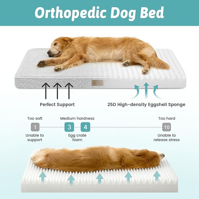 Dog Bed for Extra Large Dogs, Rectangular XL Orthopedic Dog Beds, Foam Anti-Slip Bottom Pet Mat with Washable Removable Cover, Suitable for Pet Up to 100 lbs, 44x32x3 inch, Grey