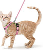 rabbitgoo Cat Harness and Leash for Walking, Escape Proof Soft Adjustable Vest Harnesses for Cats, Easy Control Breathable Reflective Strips Jacket, Pink&Light Green, S