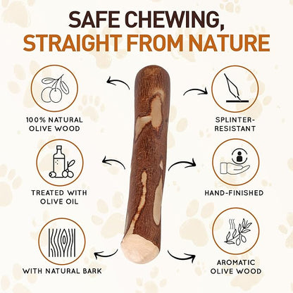 Wildfang® Olive Wood Chewing Sticks for Dogs, Small - Tough Chew Toys for Aggressive Chewers, Puppy Chew Toys for Teething, Training for Chewing Muscles, Olive Wood Stick for Dog (Under 33lbs), 3pack