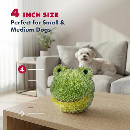 Pet Lou DOG'Z 4 Inch EZ Squeaky Frog Dog Plush Toy, Stuffing-Free Soft Plush Toy with Bouncy Squeaker Ball, Floats in Water, Ideal for Small and Medium Dogs