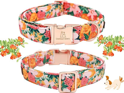 Lionheart Glory Dog Collar With Flower - Cute Floral Pattern Adjustable Pet Collar for X-Small Dogs