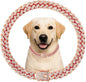 Cuban Link Dog Chain Collar Rose Gold Crystal Dog Necklace Metal with Design Secure Buckle Pet Collar Jewelry Accessories for Small Medium Large Dogs Cats(Rose Glod 20inch)