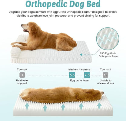 Cute Dog Bed, Faux Rabbit Fur Orthopedic Foam Dog Bed with Sides, Removable Washable Cover & Waterproof Lining, Comfortable Pet Couch for Extra Large Dogs, Cream (48" L x 35" W x 7.5" Th)