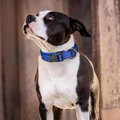 EXCELLENT ELITE SPANKER Reflective Dog Collar Classic Soft Padded Breathable Nylon Adjustable Pet Collar with Quick Release Buckle for Boy Girl Male Female Small Medium Large Dogs Training(Blue-XL)
