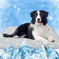 MH MYLUNE HOME Self Cooling Mat for Large Dog, 44”x32” Arc-Chill Cooling Fiber & Endothermic Color Changing Pet Cooling Pad, Foldable & Washable Non-Toxic Summer Pet Blanket