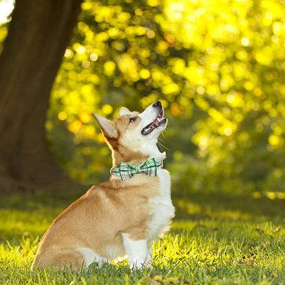 Elegant Little Tail Dog Collar with Bow - Pink with Green Plaid Cute Bowtie Adjustable Collar for Small Puppy