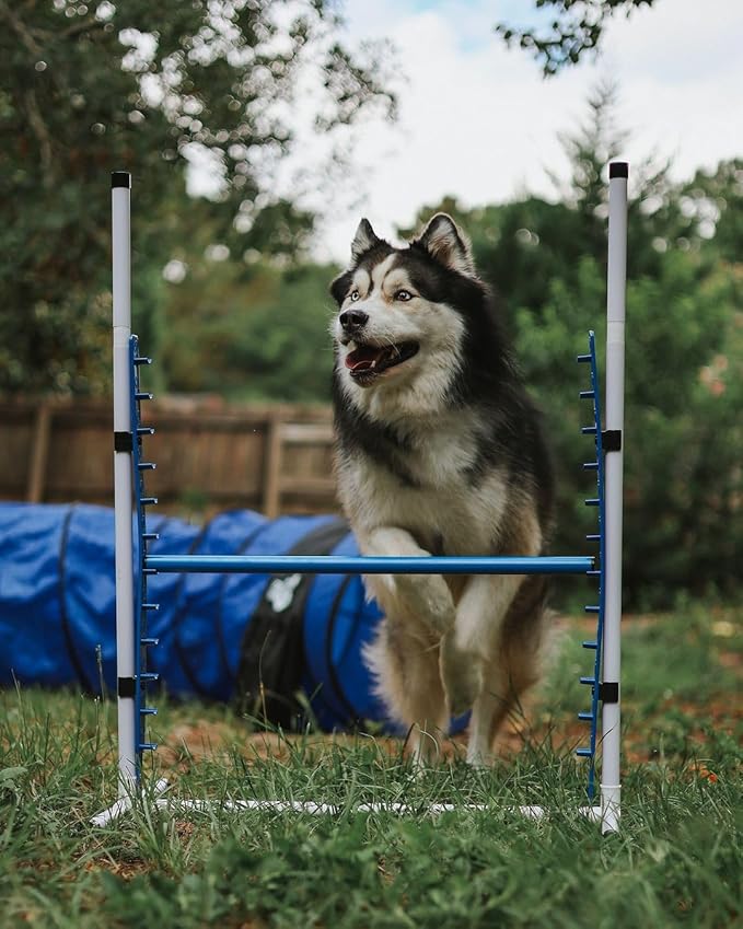 Better Sporting Dogs 4 Pack Adjustable Dog Agility Bar Jumps w/Cup Strips | Competition-Style Jump Cups for Height Class & Safe Displacement