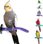 Sweet Feet and Beak Safety Pumice Perch - Trims Nails and Beak - Promotes Healthy Feet - Safe Non-Toxic Bird Supplies for Bird Cages - Small 8"
