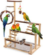 ‌Bird Playground, Natural Wooden Parrot Stand with Feeding Cups, Swing, Chew Toys, and Other Cage Accessories for Small to Medium Birds.Ideal for Cockatiels, Budgies, African Greys, and Conures