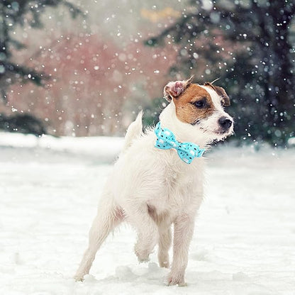 Dog Collar, Bow Collar Blue Bear Pattern Pet Collar Cute Bow Tie Soft Girl Boy Dog Collars with Metal Buckle for Medium Dogs