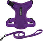 Voyager Escape-Proof Step-in Lock Cat Harness & 5ft Neoprene-Handle Leash Set All-Weather Mesh with Reflective Stitching for Small to Large Cats by Best Pet Supplies, Purple, XXS