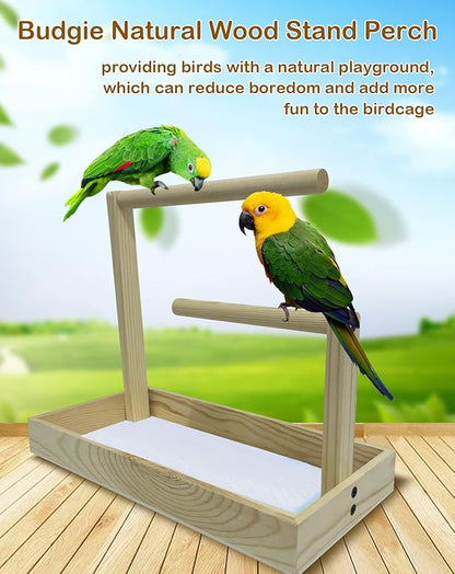 Small Bird Training Stand Portable Tabletop Birds Perch Desktop Platform Training Perch with 5 Pcs Disposable Pads Parakeet Play Gyms Exercise for Budgie Conure Parrot Cockatiel Lovebird