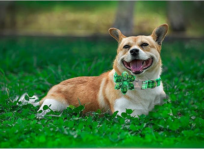 Lionheart glory St. Patrick's Day Dog Collar with Flower Dog Collar for X-Small Dogs, Green Plaid Cute Collars Spring Dogs Collars Flower Puppy Heavy Duty Cute