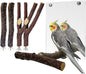 BNOSDM 5PCS Bird Mirror with Perches Stand Parrot Natural Wood Stick Perches Forked Perch Branch Parakeet Toy Set Bird Cage Accessories for Budgie Cockatiel Conure Finch Lovebird