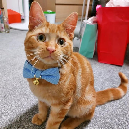 Soft Corduroy Cat Collar with Bell and Bowtie, Safety Breakaway Clasp, Adjustable for Kitten and Cats Blue Color.