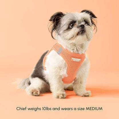 Downtown Pet Supply Step in Dog Harness for Large Dogs - Adjustable, Escape Proof Dog Harness with Reflective Trim - All-Weather, Fast-Drying Padded Mesh Fabric - Tangerine, Small
