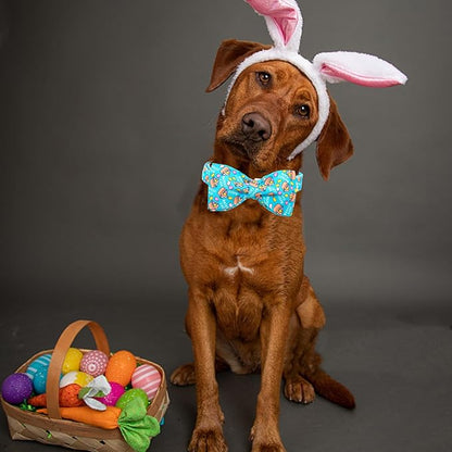 Lionheart Glory Easter Day Dog Collar with Bowtie for Large Dogs