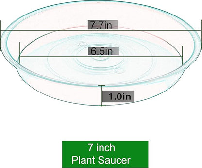 6 Pack of 7 inch Plant Saucer, Heavy Duty Plastic Plant Water Tray 7 inch Round, Flower Plant Saucers for Indoors No Holes, Plant Dishes Saucer for Planter 7"/8" (7", Chocolate)