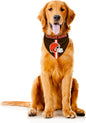 Littlearth NFL Denver Broncos Pet Bandana