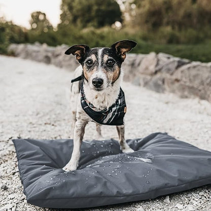 Dog Bed Cover for 36" L 27" W 3" H - 600D Oxford Waterproof with Zipper and Carry Handle - Washable, Cover Only (Gray)