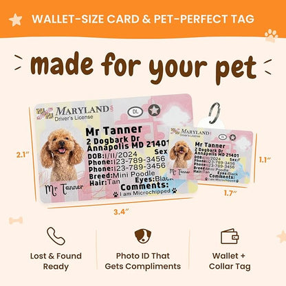 PawFurEver Personalized Dog Driver License ID Tag for Dogs & Cats - Custom Pet License Dog ID Tags Personalized Heavy Duty with Name, Photo & Phone Number, 50 States + DC (Texas, Wallet Card)
