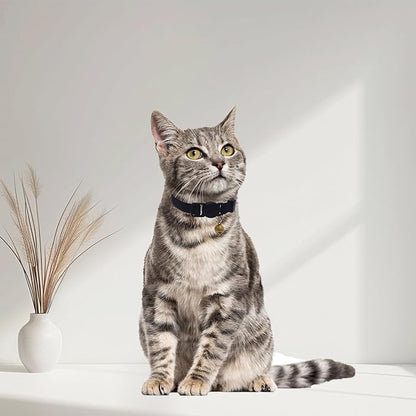 Breakaway Cat Collar with Bell, Safety Buckle Kitten Collar, Elastic Strech Quick Release, Adjustable Lightweight Collars for Girl Boy Cats, Pet Supplies, Accessories, Gifts Black