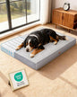 OhGeni Orthopedic Waterproof Dog Bed for Extra Large Dogs, Machine-Washable Removable Cover in Easy-Clean Fabric, High Density Foam & Easy-Carry Handle, Wider and Larger, 54 inch (Gray)