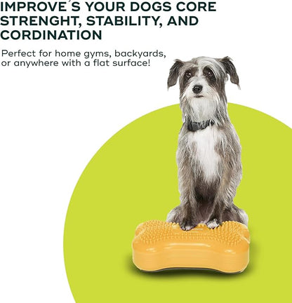 Mini K9fitbone Balance Training Platform (Set of 2)