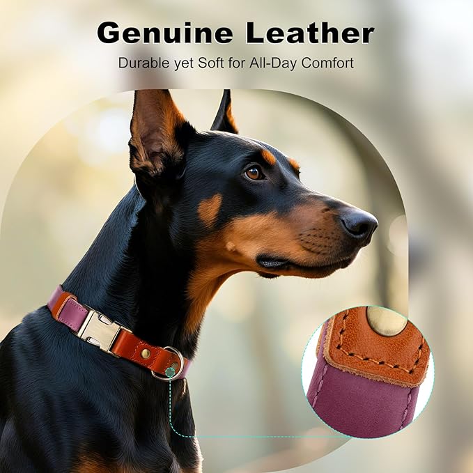 Plutus Pet Genuine Leather & Hemp Dog Collar – Adjustable Heavy Duty Pet Collar with Quick Release Metal Buckle, Soft & Stylish for Puppy and Small, Medium, Large Dogs (Purple, S)