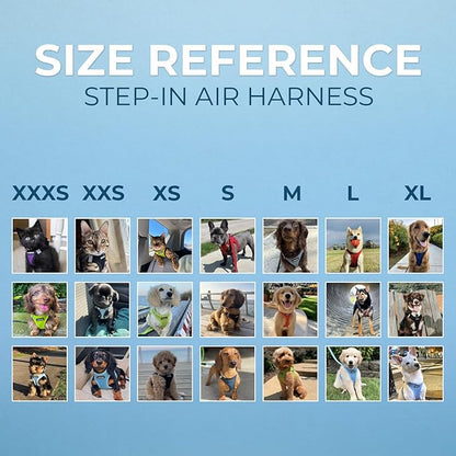 Best Pet Supplies - All Weather Mesh/Plush, Reflective, No Pull Harness for Small, Medium Dogs, Cats - Secure with Hook & Loop Fastener, Buckle, Double D-Rings - Gray 2-Tone, S