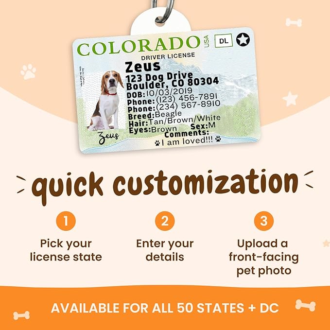 PawFurEver Personalized Dog Driver License ID Tag for Dogs & Cats - Custom Pet License Dog ID Tags Personalized Heavy Duty with Name, Photo & Phone Number, 50 States + DC (Nevada, Tag)