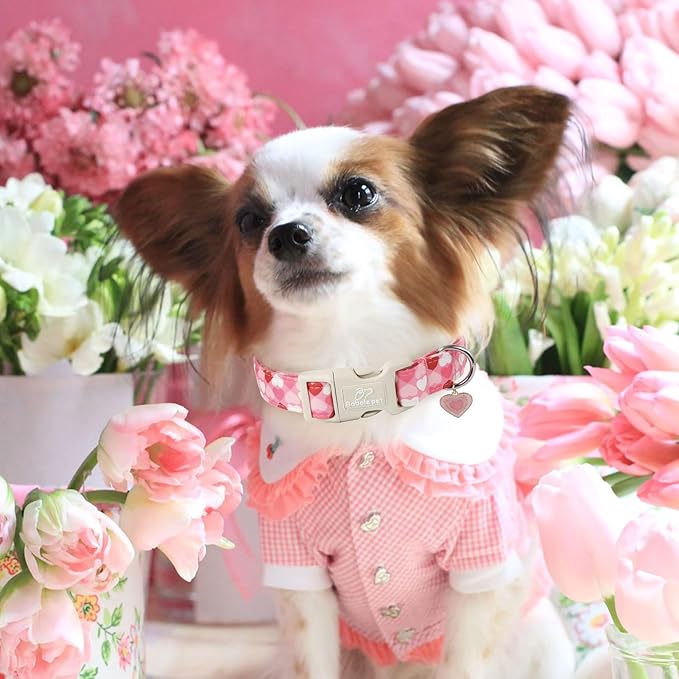 Valentines Dog Collar for Giant Large Dogs - Cute Valentine Pink Hearts Girl Dog Collars, Adjustable Girly Puppy Collar with Quick Release Buckle for Female Dogs XL