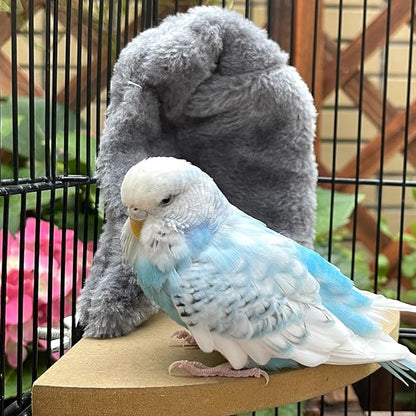 Comfort Corner Fleece Bird Blanket Parrot Cage Snuggle Hut Warm Bird Nest House Bed Hanging Hammock Toy for Parakeet Cockatiel Pigeon Small Animals Shelter Plush Bedding(Size M)