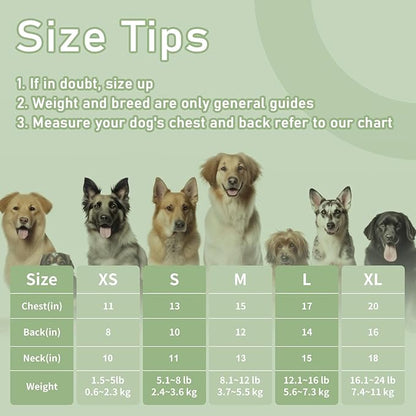 Dog Clothes, Stripe Dogs Shirts for Small & Medium Breeds, Pet Tank Top, Breathable Waffle Fabric Puppy Outfit, Shirt for Chihuahua, Yorkie, Dachshund, Corgi (Green, Large)