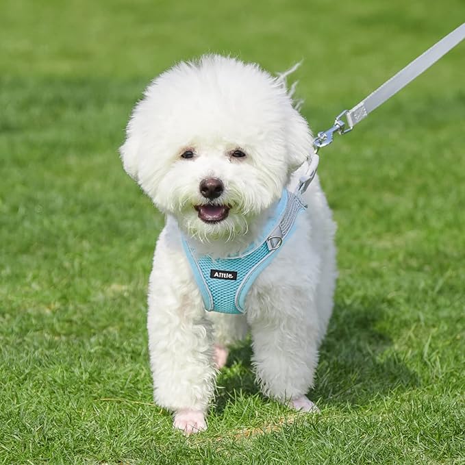 AIITLE Small Harness for Puppy with A Leash - Dog Vest Harness with Super Breathable Mesh, Reflective No-Pull Pet Harness for Outdoor Walking, Running for Small Dogs, Cats Blue XXS