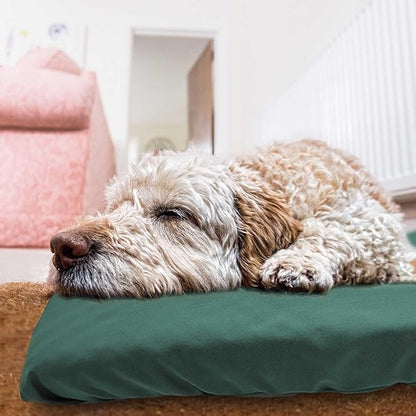 Dog Bed Cover Waterproof Replacement Machine Washable Covers for Dog Bed Heavy Duty Scratch Resistant Mattress Protector Pet Bed 41x27 Inch Dark Green Cover Only