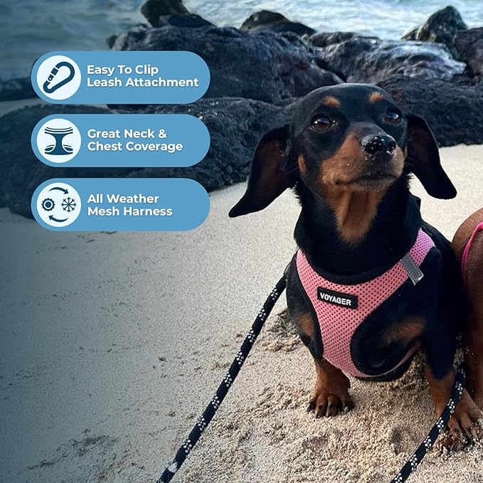 Best Pet Supplies - All Weather Mesh / Plush, Reflective, No Pull Harness for Small, Medium Dogs, Cats - Secure with Hook & Loop Fastener, Buckle, Double D-Rings - Pink/Black Trim, XS