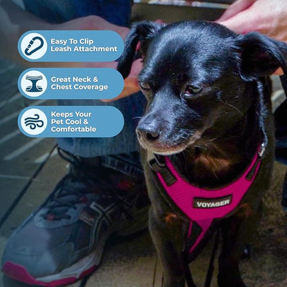 Voyager Step-in Pet Harness - All Weather Mesh, Adjustable Step in Harness for Cats and Dogs by Best Pet Supplies - Fuchsia/Black Trim, XL